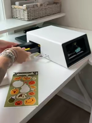 the best investment for your craft room! #stickerprinter #stickers #scrapbooking #junkjournaling #tiktokshopstockup 