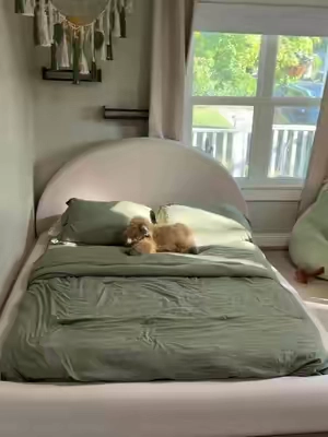 Our favorite floor bed! #toddler #toddlerroom #floorbed #bed
