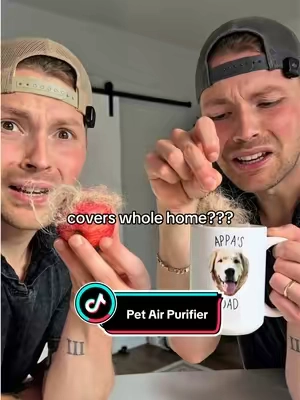 I’m a huge fan of these pet air purifiers ❤️ #airpurifier #pethairremoval #odorremoval #allergies #cleanair 
