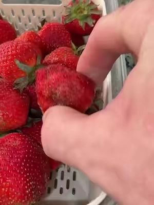 #KitchenHacks #kitchen #kitchengadgets #fruit 