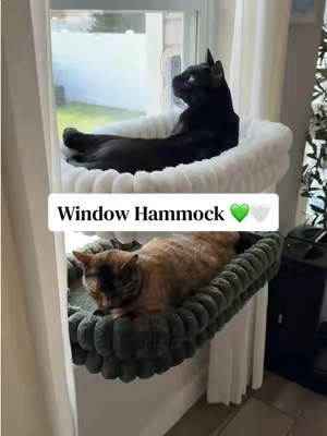 Replying to @anjalee27 Who said you can’t have both? 😆 #windowhammock #windowperch #catbed #cathammock #catmusthaves 