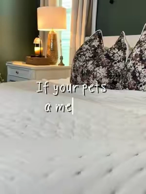 beautiful pet friendly bedding?!? yes please!!!