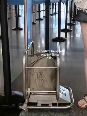 The perfect travel bag actually exists!✨and now on sale🤩#bagsmart #travelbag #totebag #traveltiktok #travelhacks 