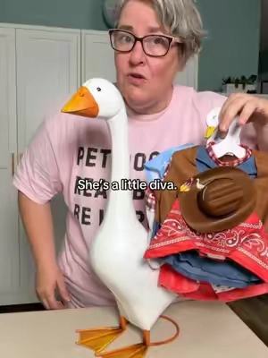 Apparently getting a Giddy porch goose also means building her a wardrobe for every occasion. 😂 #Giddy #PorchGoose #PorchGooseOutfits #PorchDecor  @QVC, Inc 