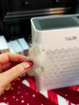 Two cats, grab a handful of loose fur off the couch. Purifier on, less fur floating around, nose isn't always itchy.#AirPurifier #catsoftiktok #tiktokshopstockup #tolifeairpurifier #PetsOfTikTok 