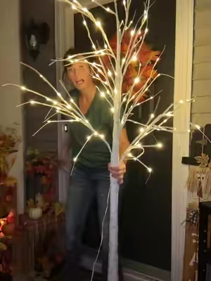 This is one piece of light up winter decor that you don’t wanna miss out on #birchtree #lightuptree #winterhomedecor #christmasdecor #outdoordecor 