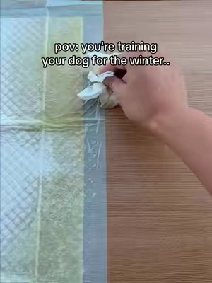 Does your dog always pee right on the edge of regular pee pads? 🫠 #DogPottyTraining #PeePadsForDogs #PetParentEssentials #IndoorDogTips 