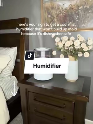 @LEVOIT #levoithumidifier #humidifier #coolmisthumidifer #tiktokshopcreatorpicks #tiktokshopstockup 