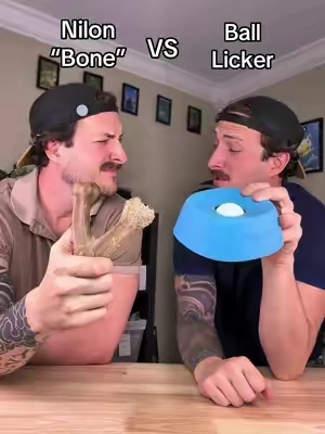 Which is better, a nylon bone or an enrichment ball licker bowl? #dog #dogs #enrichmentfordogs #puppy 