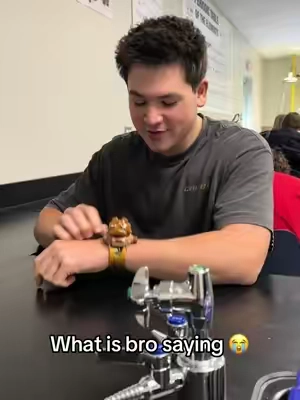 I mean ig bro 😭 #tungtungtungsahur #brainrot #watch #projector #tiktokshop 
