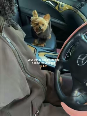 she’s 5 lbs wearing an xs! 🐶🤎 #comfrt #doghoodie #matching #tiktokshopblackfriday #tiktokshopcybermonday yorkie 
