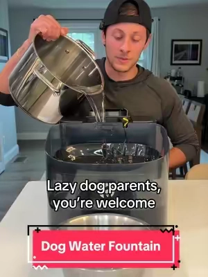 These dog water fountains are SO much better than normal dog water bowls! 🐶👅 #tiktokshopcreatorpicks #dogessentials #dogparents #dogwaterfountain #dogwater 