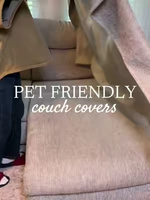 Nice couch plus pets?!? 