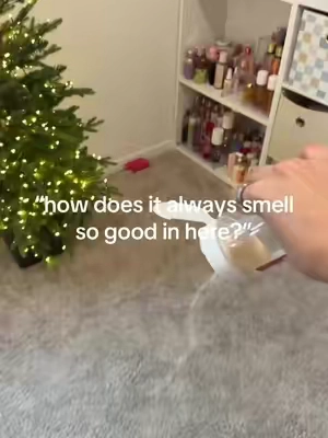 #carpetpowder #carpetseasoning 
