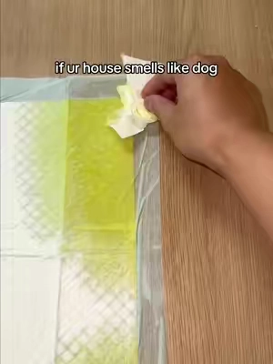 Who else’s house always smells like dog pee no matter how much you clean? 🤢 #PetOdorRemover #DogMomLife #HomeCleaningHacks #PetEssentials 