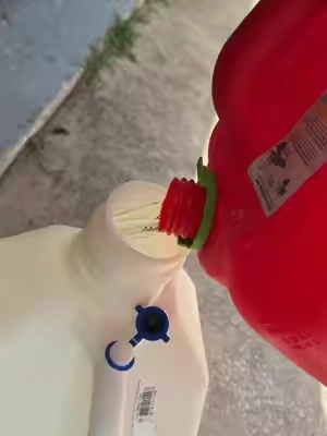 7687288855979904269