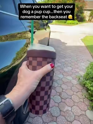 Replying to @Karen | Gen❌ Health & Wellness #dogseating #roadtrip #pupcup #pupcupstarbucks #pupcups @RUFF Liners  @Karen | Gen❌ Health & Wellness  @Karen | Gen❌ Health & Wellness  @Karen | Gen❌ Health & Wellness 