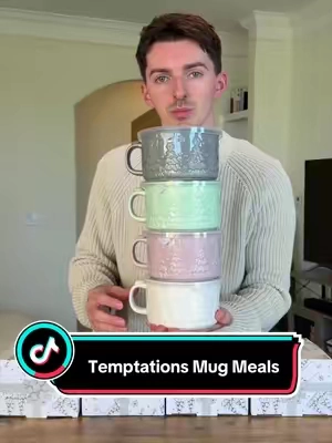 The temptations mug meal sets are finally back from QVC! 🎄😌 #souptok #soup #soupmug #tiktokshopcreatorfinds 