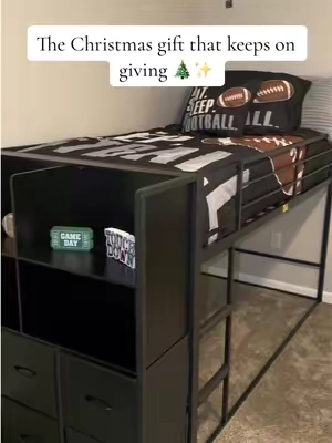 No more wasting money on things my kids forget about in 2 days! Christmas will be intentional this year 🎄✨ #christmasideas #christmasgift #bunkbed #loftbed #kidsbed 