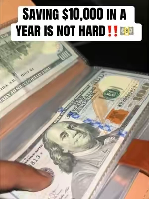 Lockable savings book! #savings #savingchallenge #cashenvelopes #cashstuffing #tiktokshopcreatorpicks 