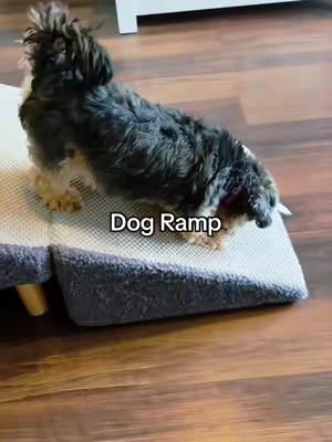 Making life a little easier and more comfortable for the fur babies with this dog ramp 🐶🐾🦴 #dogramp #petparents #smalldog #seniordog #petmusthaves 