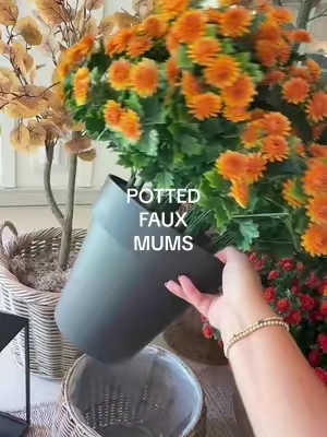 Easy fall porch decor without the watering or upkeep 🍂 These Wicker Park potted faux flowers from QVC give you that full, finished fall look and stay pretty all season. #FallPorchDecor #FallHomeDecor #FallHome #FauxFlowers #qvcloyaltyprogram  @QVC, Inc 