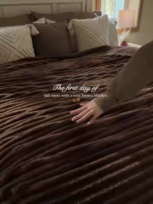 Brown bedding = instant fall vibes. 🤎🍂 Cozy season starts here. #sohochic #HomeEssentials #bedsure #bedsuregetcozy #yourcomforteryourway #christmasdecor #fallvibes #fall #autumn #fallbedding