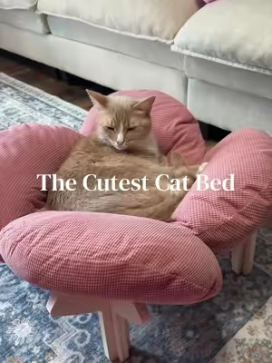 Flower cat bed ✨ #catbed #tiktokshopcreatorpicks 