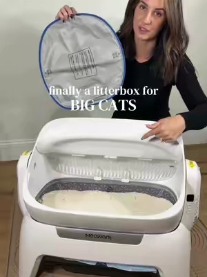 My cats keep choosing this one now #bigcats #mainecoon #automaticlitterbox #selfcleaninglitterbox #largelitterbox 