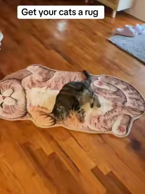 This rug is so soft, so cozy that of course Georgia Peach has taken it over. #cats #rug #catlover #tiktokshopcreatorpicks #tiktokshopholidayhaul 