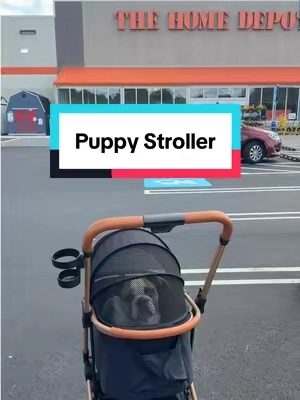 The baby bulldog stroller got an upgrade! The other one i have was a little too small. this has a lot more room ❤️ #dogstorller #petstroller #puppystroller #dogstrollers #puppylife 
