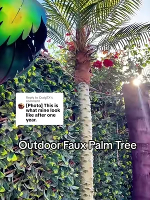 Replying to @CraigTX My artificial palms are holding strong after nine months! We have had temperatures as low as 30° and is high as 120°, we have had winds that have reached 40 mph and my tree still look amazing! If you’re looking for an artificial palm tree that is UV resistant for outdoor outdoors these are a great option. I’m sure they’re not gonna last me years and years and years however, if I can get a couple years out of them, it’s an absolute win! #uvresistant #palmtree #fauxplants #curbappeal #tiktokshopstockup 