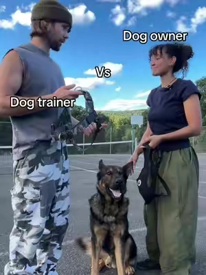 Our walks have never been easier #wearedogfriendlyco #pet #dog #DogTraining 
