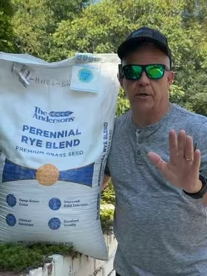 🔥 SELLING FAST! The Andersons Perennial Rye Blend Premium Grass Seed  Description *   Deep green color *   Disease resistant *   Better cold tolerance *   Excellent density *   Ideal for overseeding applications *   Can be used in both cool-season and warm-season turf locations *   Contains 0.00% weed seed  A low-input, A-LIST Seed #lawncare #tiktokshopstockup #tiktokshopcreatorpicks  #creatorsearchinsights #lawnfixing @Andersons Lawn 