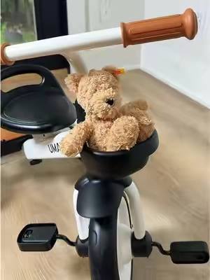 Add this one to the birthday or Christmas list ASAP 🎁 The cutest toddler tricycle! @Umatoll shop  #toddlerbike #tricycle  #toddlergift  #bike  #tiktokshopstockup 