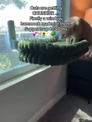 If your indoor cat seems bored or is always staring out the window, this folding cat hammock is one of the easiest upgrades you can make. This is the medium size and it’s honestly perfect — super cozy, sturdy, and it actually holds weight without slipping. I already have one and I’m thinking about getting another because it quickly becomes their favorite spot in the house. It installs in minutes with strong suction cups and works not just on windows but also on glass doors and balcony doors, so you have way more placement options. Great for larger cats, multi-cat homes, or any cat that loves to lounge, bird watch, and stay stimulated throughout the day. Easy to clean, durable, and made for everyday use — this is one of those simple things that makes a big difference  #tiktokshopcreatorpicks #tiktokshopstockup  #tailgatestockup 