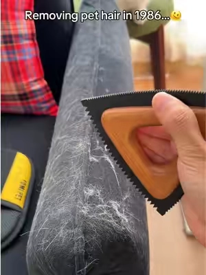 How do you remove pet hair now?😲#pethairremover #pethairremoval #pethair #pet #petparent 