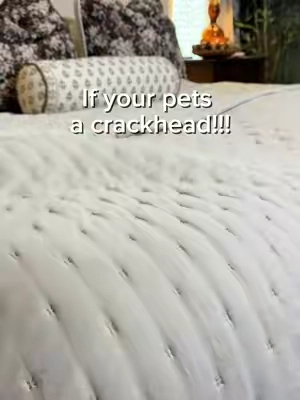 pet friendly bedding for a great deal?!? Yes please!!!