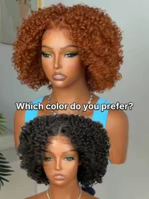 Why get one shade when the others look like this? 👀🔥#frodiohair #sohochic #wig #fyp #tiktokshopstockup #naturalhair #veralux #colorwig #wearandgowigs #curlyhair #jerrycurlywigs