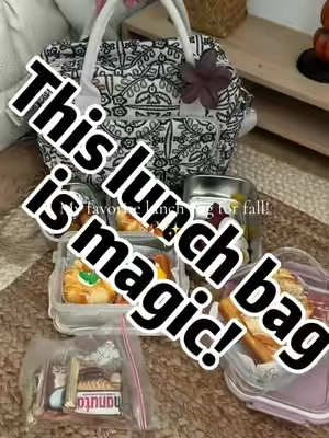 The perfect lunch bag for cozy days!🍱#lunchbag #lunchbox #whatsinmybag #falldealsforyou #mexsbag 