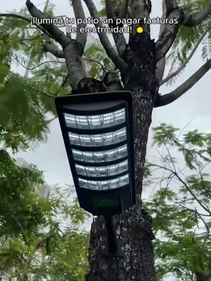 Solar light price drop ⚠️! Don’t want extra electricity costs? This outdoor light uses sunlight to brighten your nights.  #solarlights #outdoorlights #lights #tiktokmademebuyit #solarpower ljf-0923-1-cjt