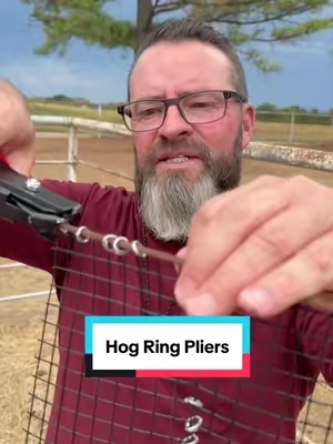 One squeeze and the ring is locked in place. This little tool can save a ton of time on fencing jobs! 🔧💪 #FenceRepair #HogRings #FarmLife #RanchTools #ToolsThatWork