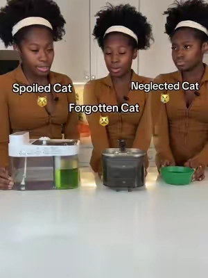 Treat your cat to the water fountain they deserve 🐈 #catwaterfountain #catfountain #waterfountain #catsoftiktok #catowners 