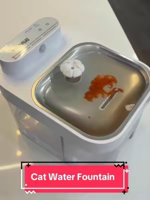 It’s time to make the upgrade, for your cats sake! #catwaterfountain #catparent #catwater #tiktokshopcreatorpicks #petlover 