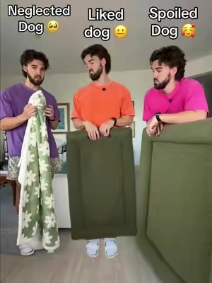 Which dog do you have? #tiktokshopstockup 
