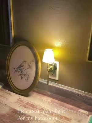 The cutest little night light lamp with a dimmer 🥰🫶🏼 #nightlight #lamp 