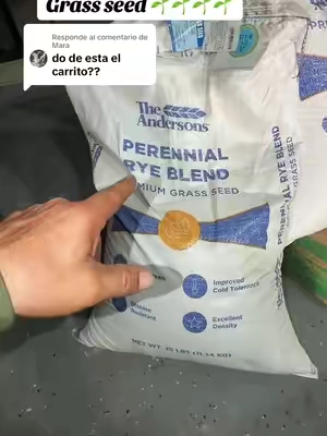 Respuesta a @Mara #yarderosperrones💪🏼🇲🇽 #grass #yarderos #grassseed #tips 
