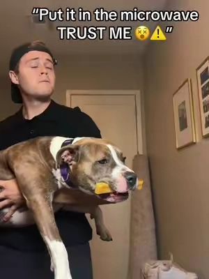 Dog asmr goes crazy on these treats 