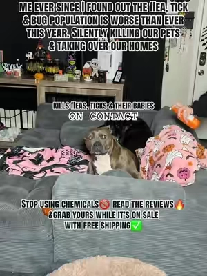 In @Zesty Paws we trust🐾 FOREVERRRR❤️ #fleaandtickspray #fleaandtickprevention #fleas #tiktokshopcreatorpicks #fleaandtick 