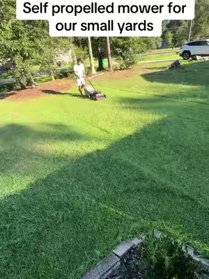 Can’t beat it for the price probably the best investment for a small yard #mower #lawnmower #lawncare #lawncarenut #greengrass 